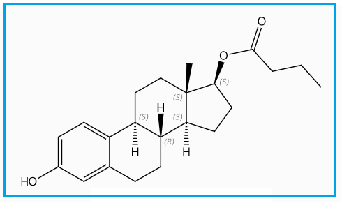 ESTRADIOL 17 BUTYRATE IMPURITY